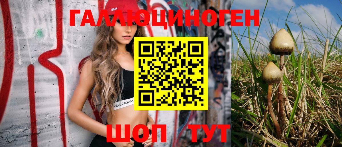 где купить наркоту  Вход с VPN  Камышлов  Галлюциногенные грибы мухоморы 